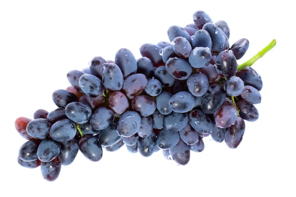 Cacho de uvas. — Fotografia de Stock