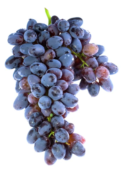 stock image Bunch of grapes.