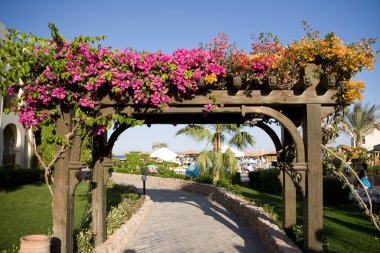 Flower arch clipart