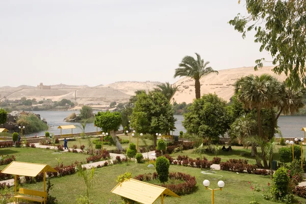 Oasis on the Nile — Stock Photo, Image