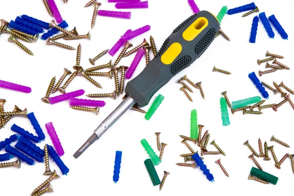 Screws, dowels and screwdriver on white — Stock Photo, Image