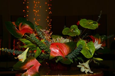 çiçekler koyu arka plan üzerinde