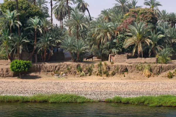 Vecchio villaggio al fiume Nilo — Foto Stock