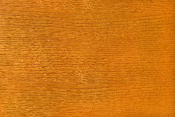 オークの木のテクスチャのクローズ アップ — ストック写真