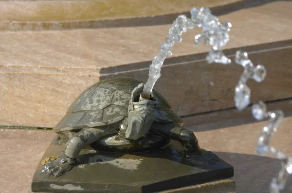 Turtle Fountain — Stock Photo, Image