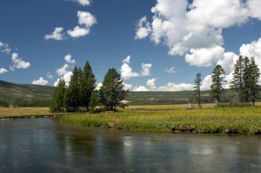 Yellowstone Ulusal Parkı, ABD