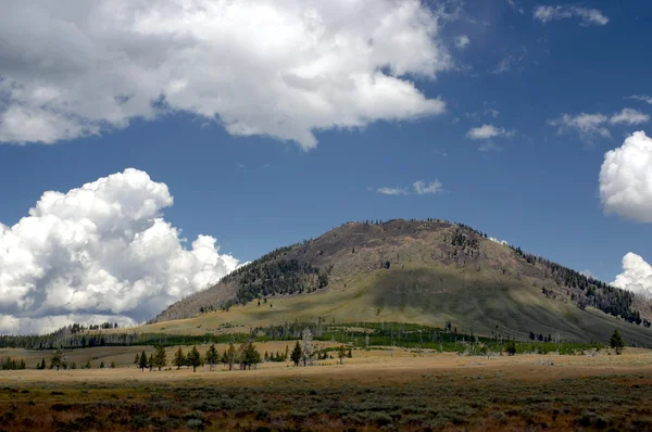 Yellowstone nationalpark, usa — Stockfoto