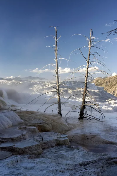 vadide yellowstone Milli Parkı, ABD