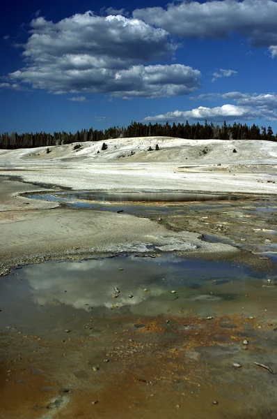 Κοιλάδα στο εθνικό πάρκο yellowstone, ΗΠΑ — Φωτογραφία Αρχείου