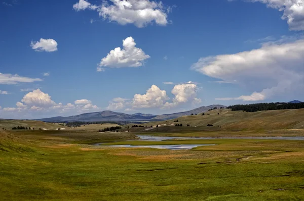 Údolí v yellowstone national park, usa — Stock fotografie