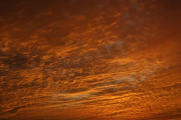 Altın gökyüzü — Stok fotoğraf