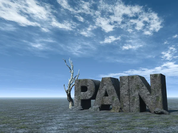 Pain — Stock Photo, Image