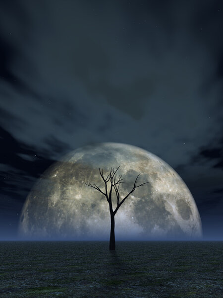 Lonely dead tree and the moon - 3d illustration