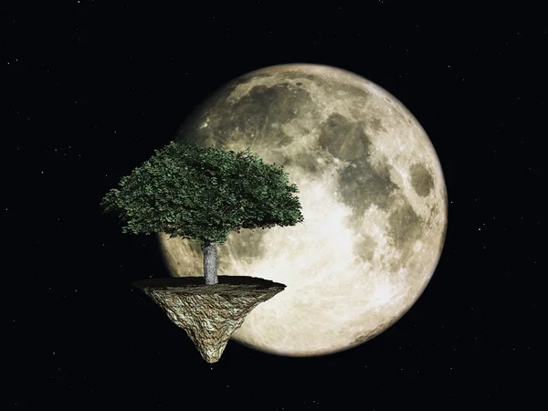 Простір дерево — стокове фото