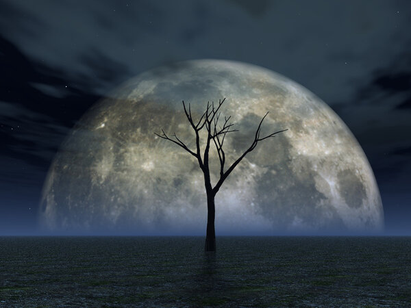 Lonely tree in desert and full moon - 3d illustration