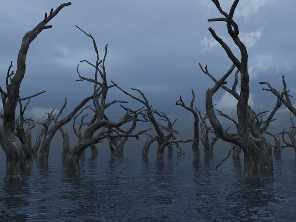 Ölü ağaçlar — Stok fotoğraf