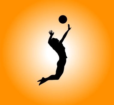 Voleybol