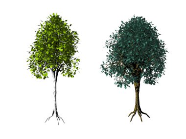 Trees clipart