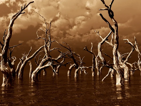 stock image Dead trees