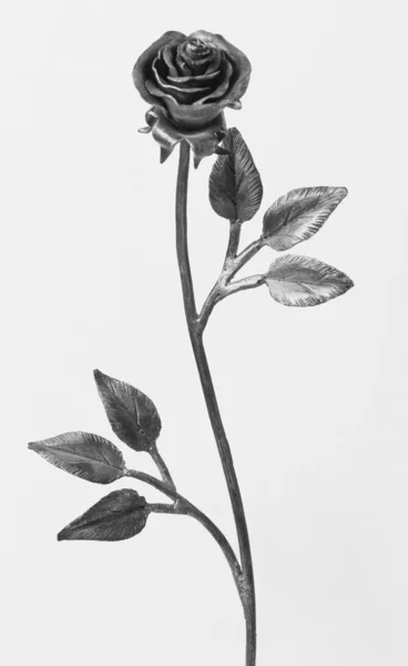 Logam mawar — Stok Foto