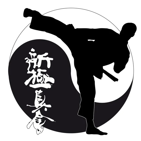 KARATE SHINKYOKUSHINKAI, luchador shinkyokushin — Archivo Imágenes Vectoriales