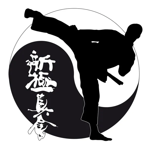 KARATE SHINKYOKUSHINKAI, боец Shinkyokushin — стоковый вектор