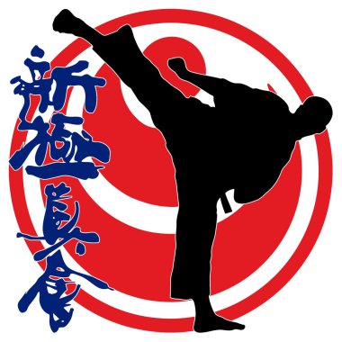 Dövüş sanatları - karate shinkyokushinkai