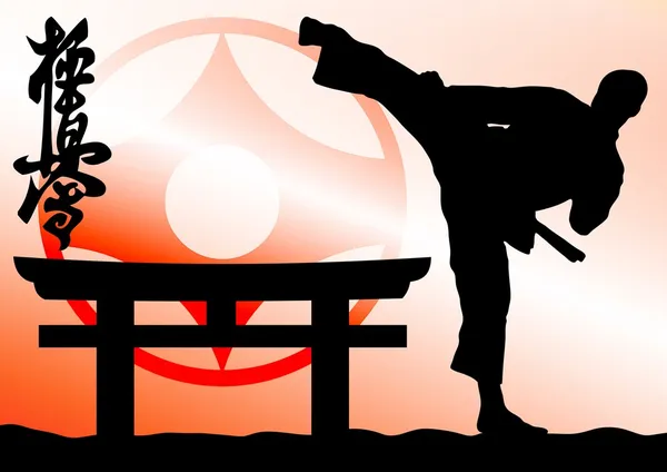 Πολεμικές τέχνες - kyokushinkai καράτε — Φωτογραφία Αρχείου
