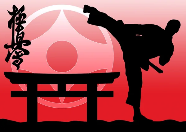 武术--空手道 kyokushinkai — 图库照片