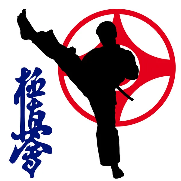 Dövüş sanatları - karate kyokushinkai — Stok fotoğraf