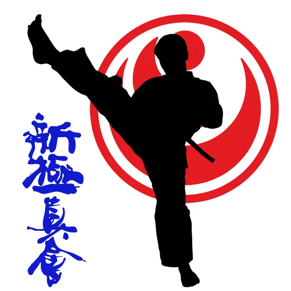 Dövüş sanatları - karate shinkyokushinkai — Stok fotoğraf
