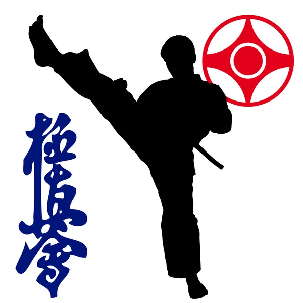 Kampfkunst - Karate kyokushinkai — Stockfoto