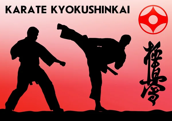 MARTIAL ARTS - KARATE KYOKUSHINKAI — Stock Photo, Image