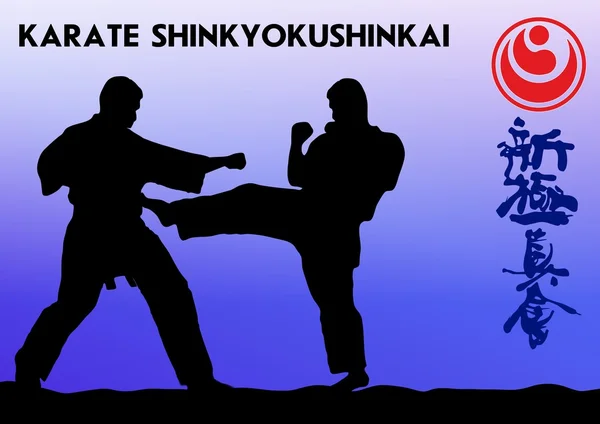 Kampfkunst - Karate shinkyokushinkai — Stockfoto