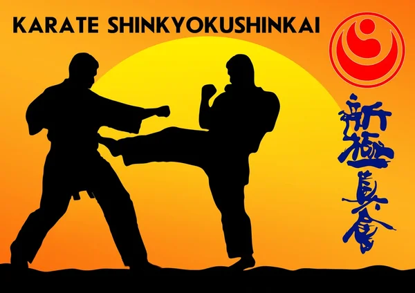 무술이 라 데 shinkyokushinkai — 스톡 사진