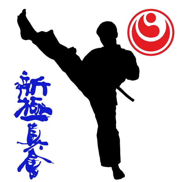 Bojová umění - karate shinkyokushinkai — 图库照片