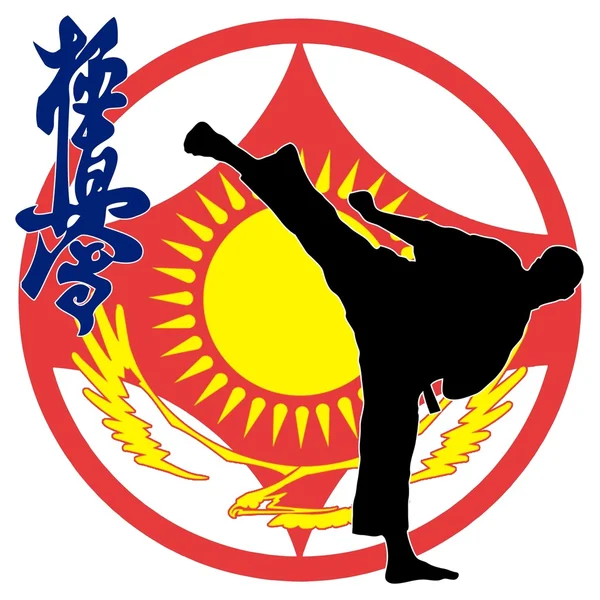 Harcművészetek - karate kyokushinkai — Stock Fotó