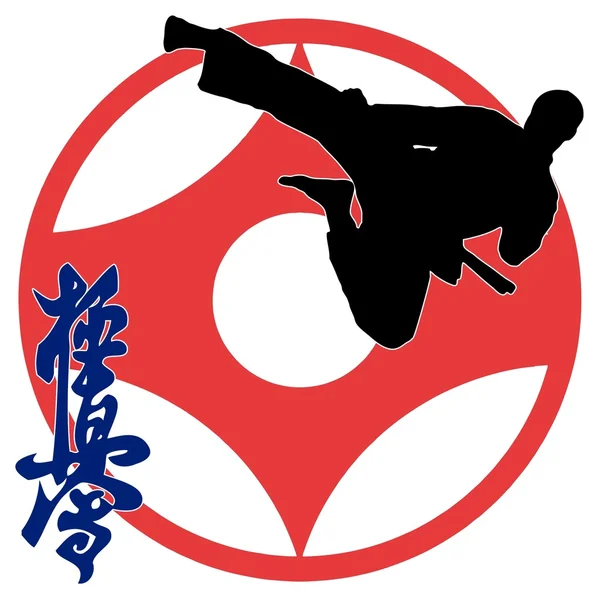武术--空手道 kyokushinkai — 图库照片