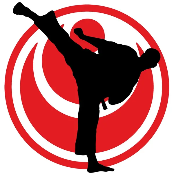 Πολεμικές τέχνες - shinkyokushinkai καράτε — Φωτογραφία Αρχείου