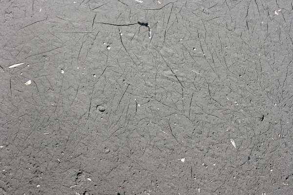 Textura del suelo —  Fotos de Stock