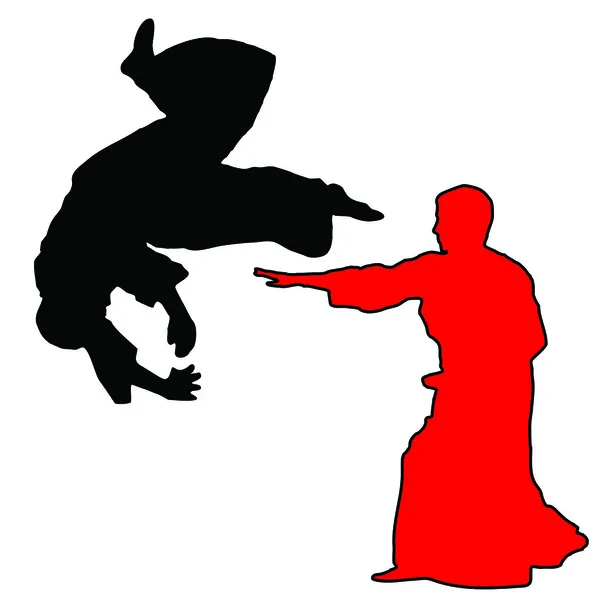 Dövüş sanatları - aikido — Stok Vektör