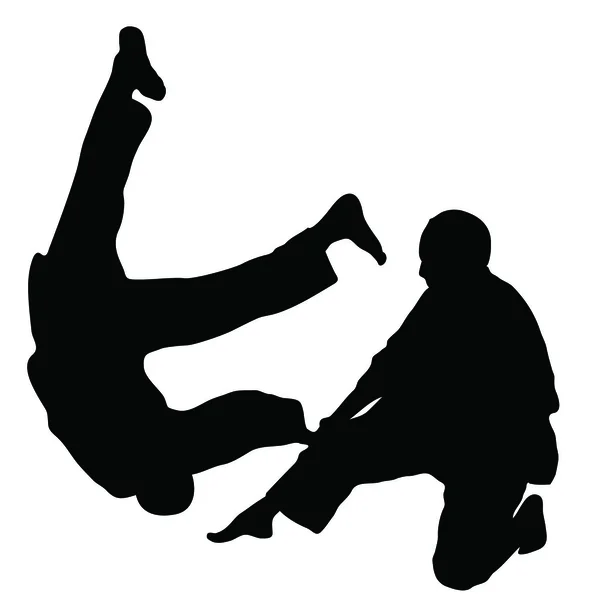Bojová umění - aikido, ju jutsu — Stockový vektor