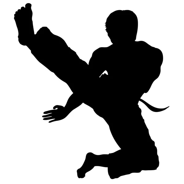 Savaş sanatı - karate atlama tekme vektör — Stok Vektör