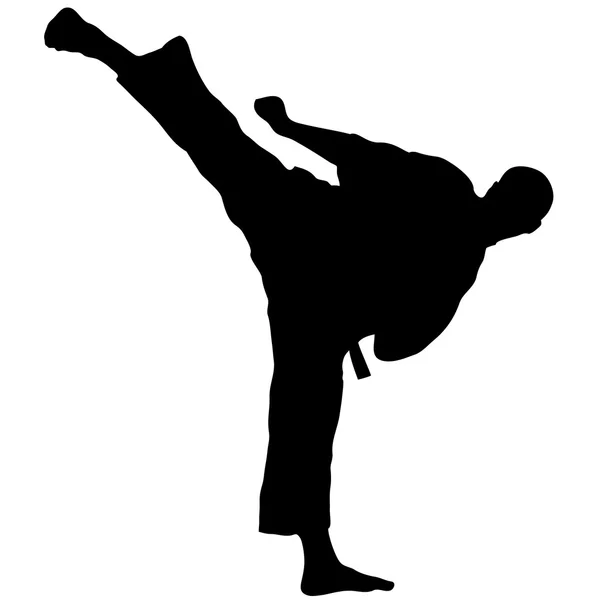 Sztuki walki - karate kick siluet wektor — Wektor stockowy