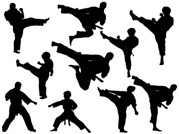 Martial arts - instellen — Stockvector
