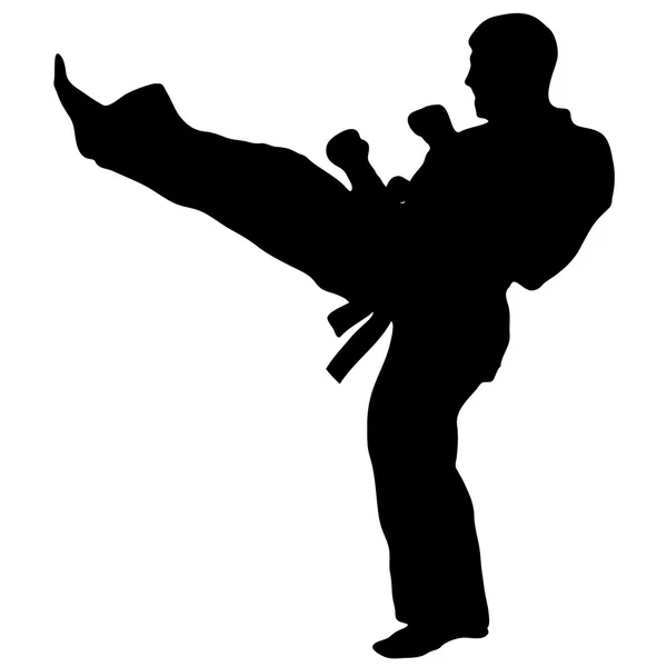 Martial arts - karate mannen siluet vector — Stockvector