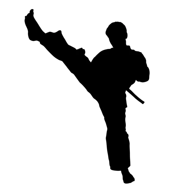 武术--剑道、 iaido — 图库矢量图片
