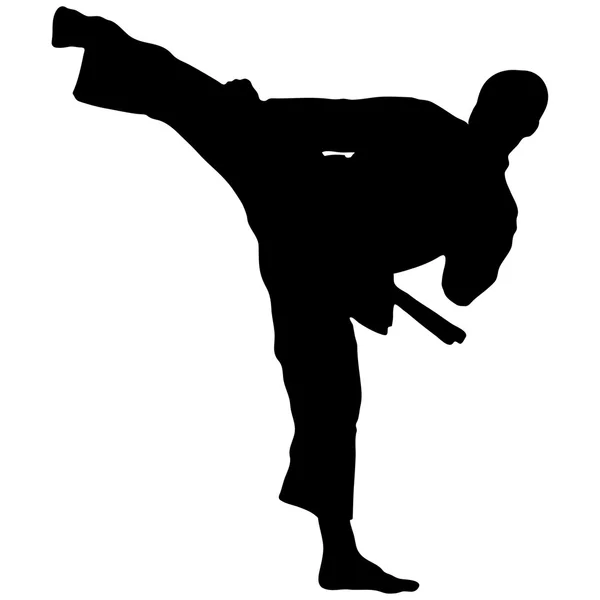 Dövüş sanatları - karate erkekler siluet vektör — Stok Vektör