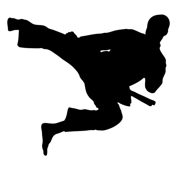 Martial art - karate sprong kick vector — Stockvector