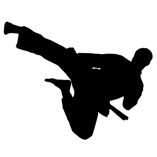 Bojové umění - karate skok kop vektor — Stockový vektor